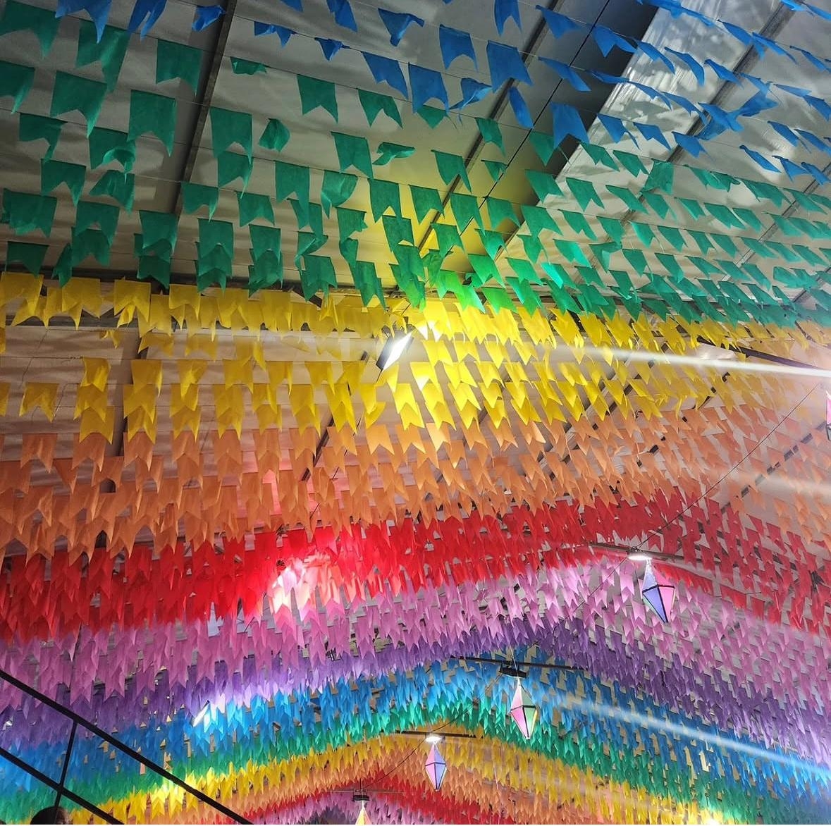 Foto/Reprodução: Arquivo pessoal de Cicília